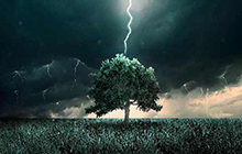 下雨打雷時(shí)我們躲在大樹(shù)底下為什么容易遭受雷擊？