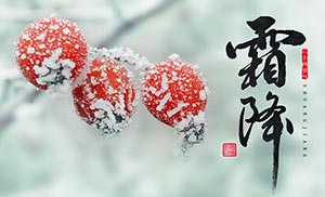 霜降到！這是秋的謝幕,也是冬的問(wèn)候【易造防雷】