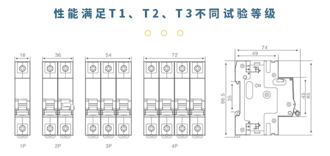 知名后備式保護器-試驗等級