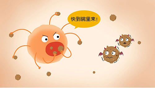 怎樣判斷浪涌保護(hù)器的好壞？