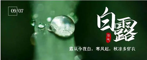白露 | 夏意已去，涼秋來(lái)臨